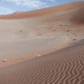 Namibie-2784.jpg