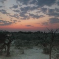 Botswana-0166.jpg